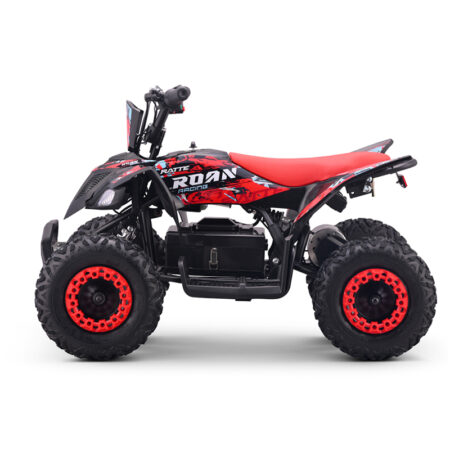 MINIQUAD ELECTRICO ROAN 800W RATTE - Miniatura 2