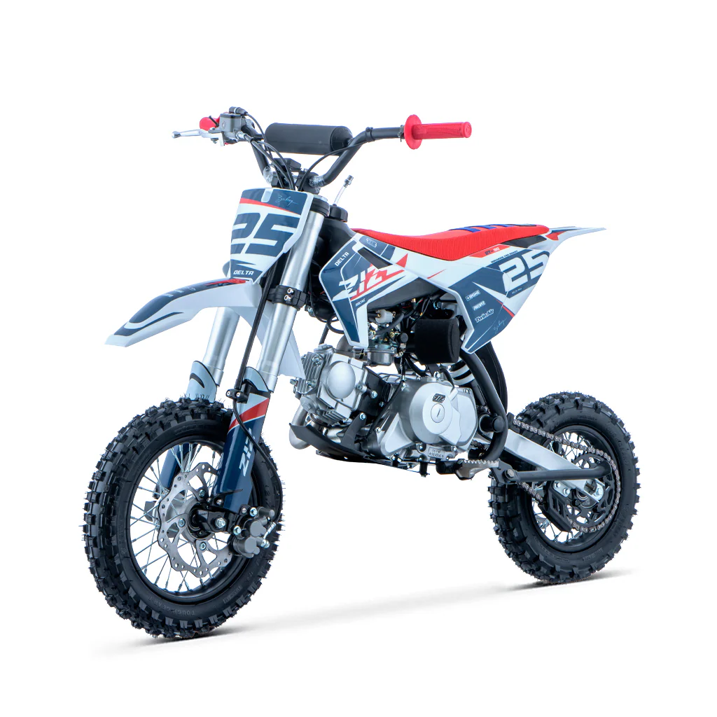 PIT BIKE 90CC 4T AUTOMATICO 12/10 DELTA ZIZ RACING - Imagen 9