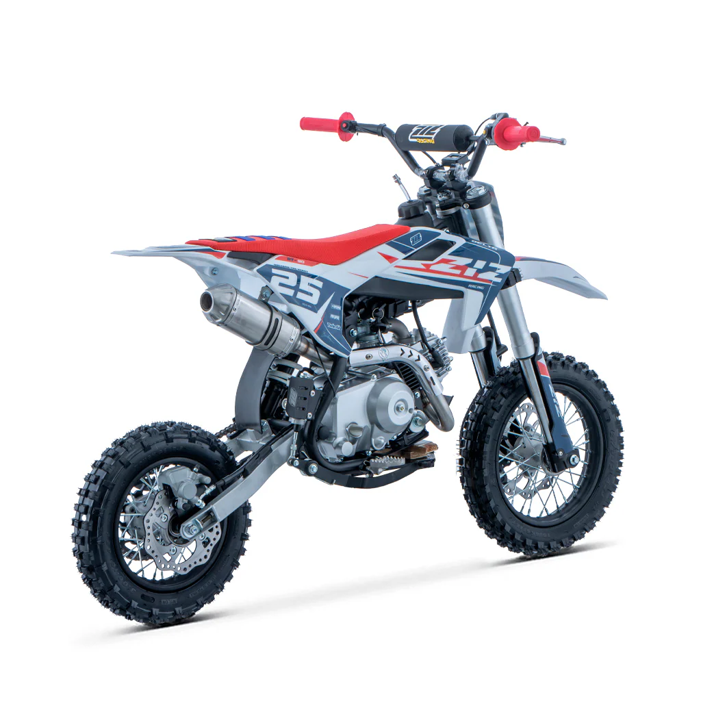 PIT BIKE 90CC 4T AUTOMATICO 12/10 DELTA ZIZ RACING - Imagen 12