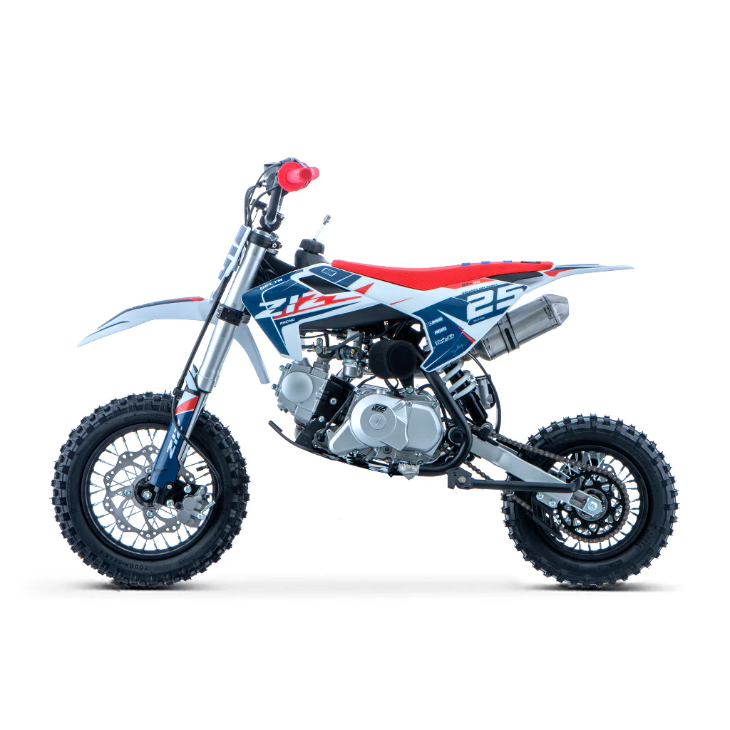 PIT BIKE 90CC 4T AUTOMATICO 12/10 DELTA ZIZ RACING - Imagen 10