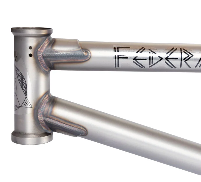 CUADRO BMX FEDERAL PERRIN ICS2 RAW - Imagen 6