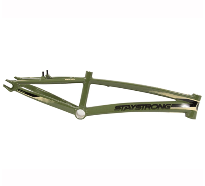 CUADRO BMX STAY STRONG FOR LIFE V2 - Imagen 3