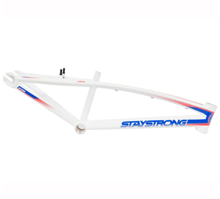 CUADRO BMX STAY STRONG FOR LIFE V2 - Imagen 4