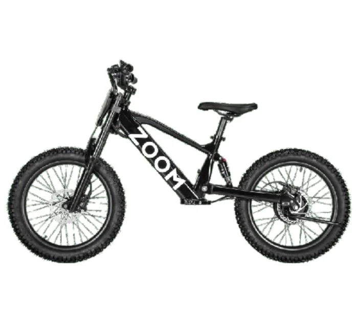 BICICLETA ELECTRICA 750W ZOOM SUPERNOVA 20"