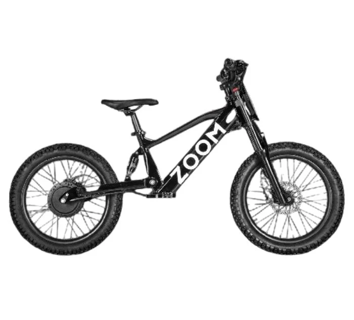 BICICLETA ELECTRICA 750W ZOOM SUPERNOVA 20" - Imagen 2