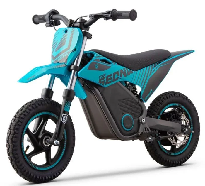 ELECTRIC MINI MOTO 250W SEDNA TXR R12/12"
