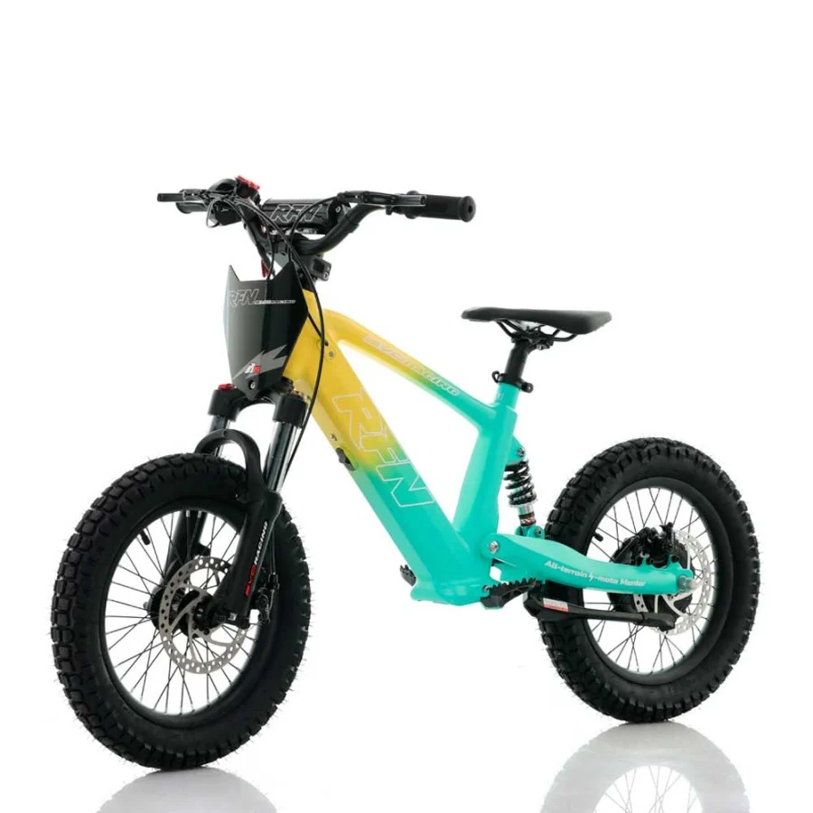BICICLETA ELÉCTRICA INFANTIL 350W 16" ROAN RFN EVO-S - Imagen 5