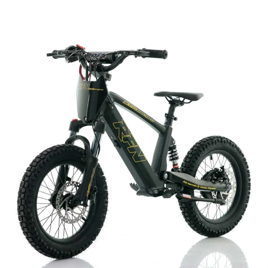 BICICLETA ELÉCTRICA INFANTIL 350W 16" ROAN RFN EVO-S - Imagen 13