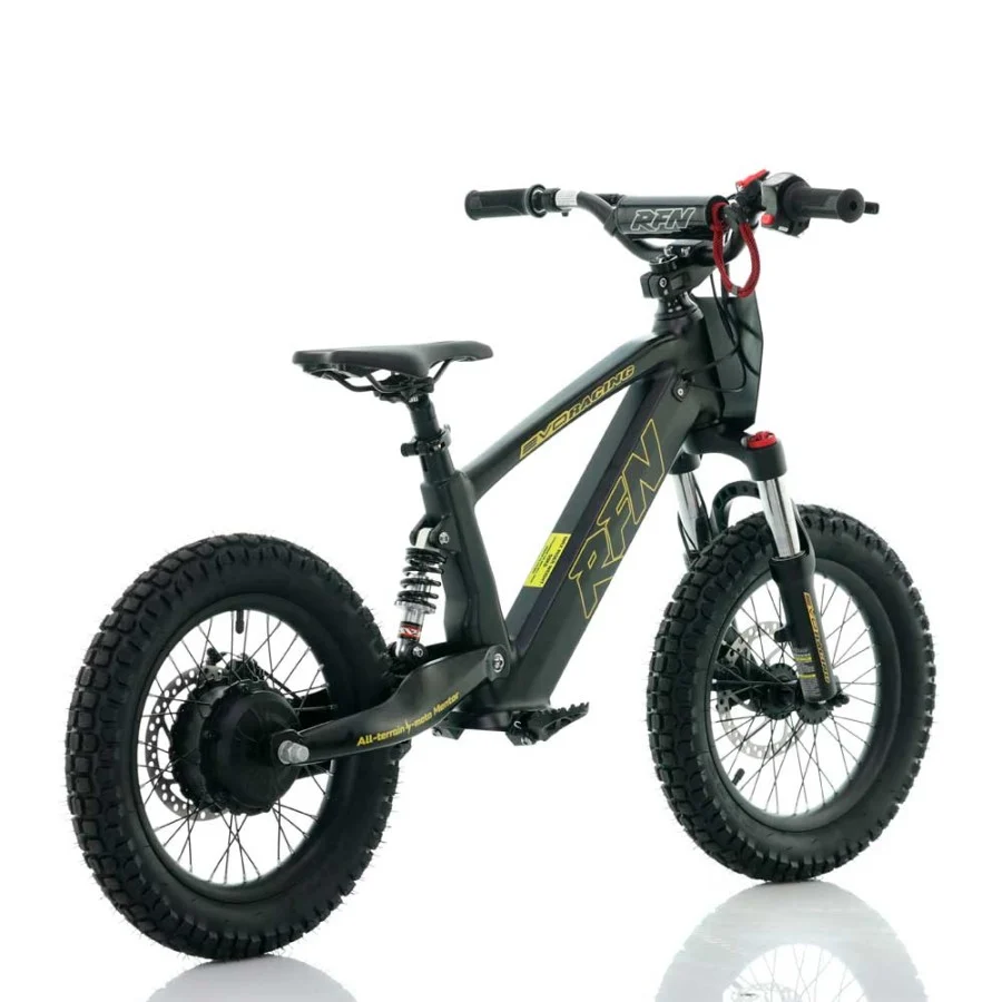 BICICLETA ELÉCTRICA INFANTIL 350W 16" ROAN RFN EVO-S - Imagen 12