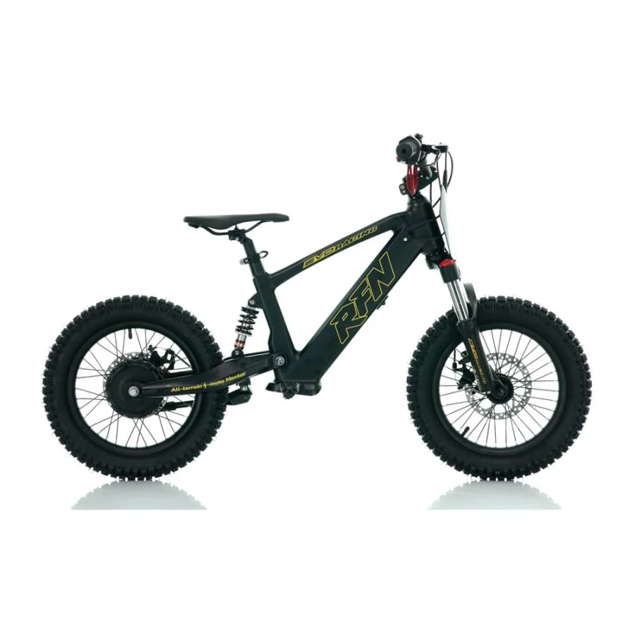 BICICLETA ELÉCTRICA INFANTIL 350W 16" ROAN RFN EVO-S - Imagen 11