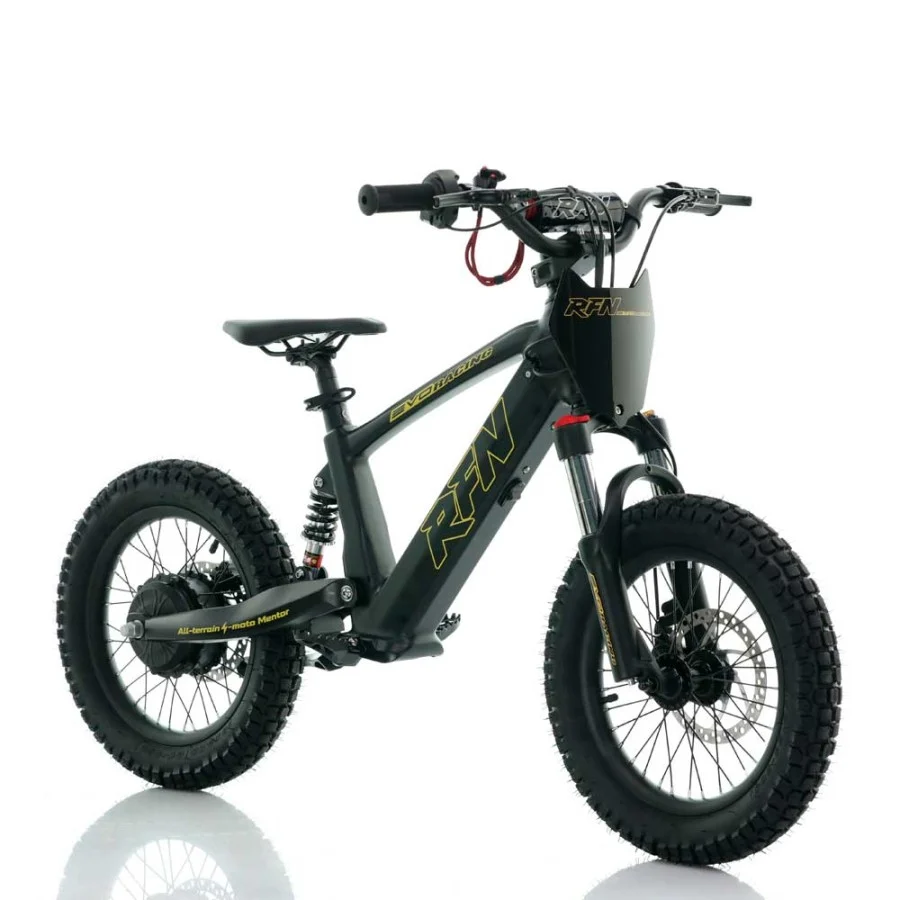 BICICLETA ELÉCTRICA INFANTIL 350W 16" ROAN RFN EVO-S - Imagen 10