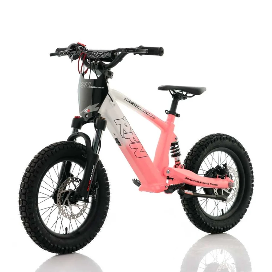 BICICLETA ELÉCTRICA INFANTIL 350W 16" ROAN RFN EVO-S - Imagen 9