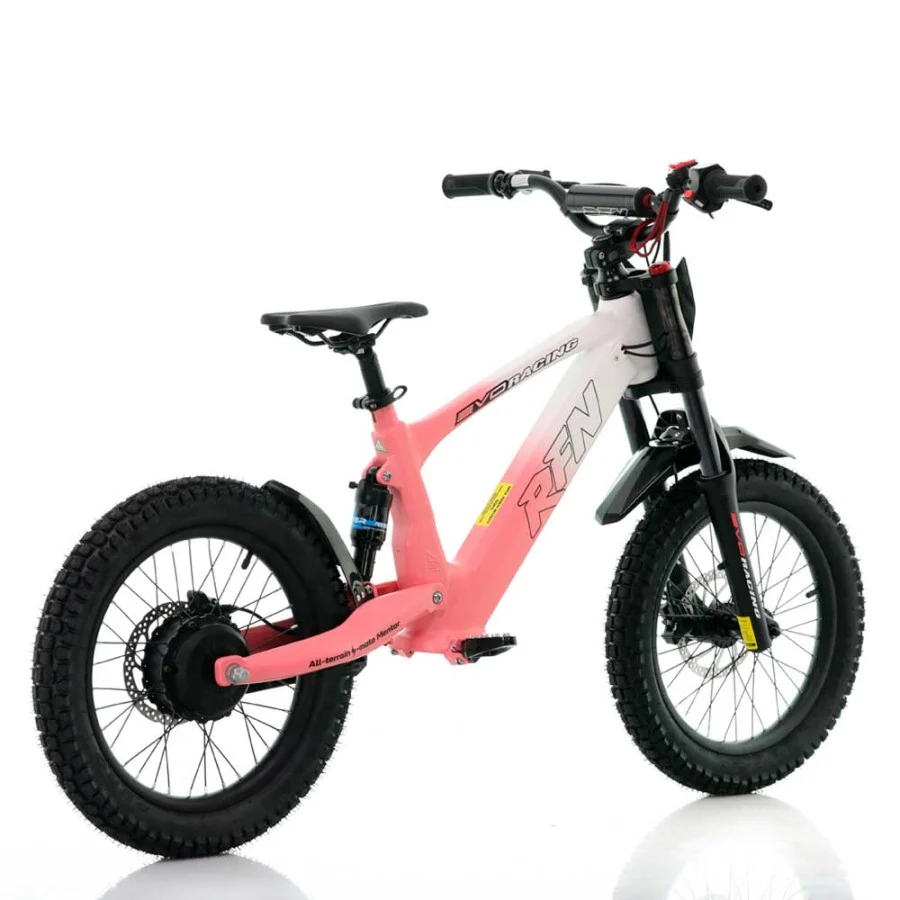 BICICLETA ELÉCTRICA SIN PEDALES 500W ROAN RFN EVO RACING 18" - Imagen 13