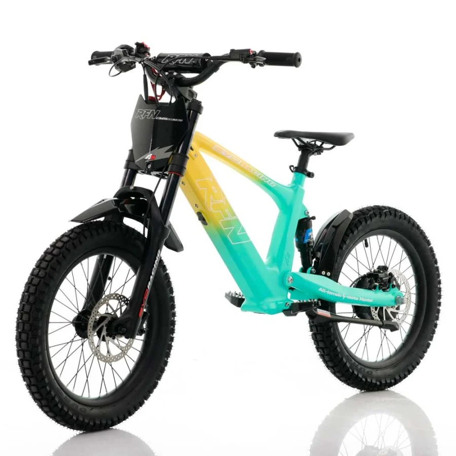 BICICLETA ELÉCTRICA SIN PEDALES 500W ROAN RFN EVO RACING 18" - Imagen 14
