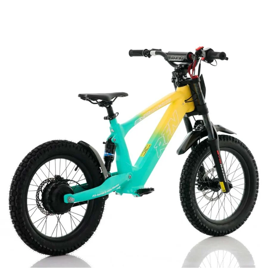 BICICLETA ELÉCTRICA SIN PEDALES 500W ROAN RFN EVO RACING 18" - Imagen 16