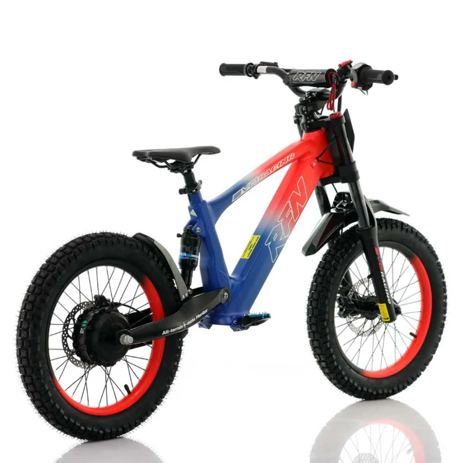 BICICLETA ELÉCTRICA SIN PEDALES 500W ROAN RFN EVO RACING 18" - Imagen 4