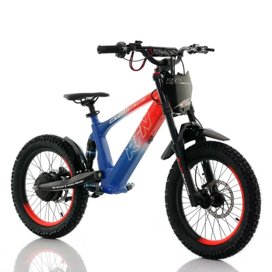 BICICLETA ELÉCTRICA SIN PEDALES 500W ROAN RFN EVO RACING 18" - Imagen 5