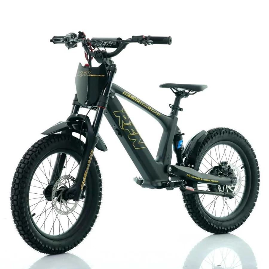 BICICLETA ELÉCTRICA SIN PEDALES 500W ROAN RFN EVO RACING 18" - Imagen 6