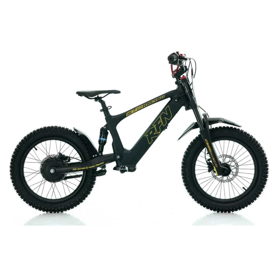 BICICLETA ELÉCTRICA SIN PEDALES 500W ROAN RFN EVO RACING 18" - Imagen 9