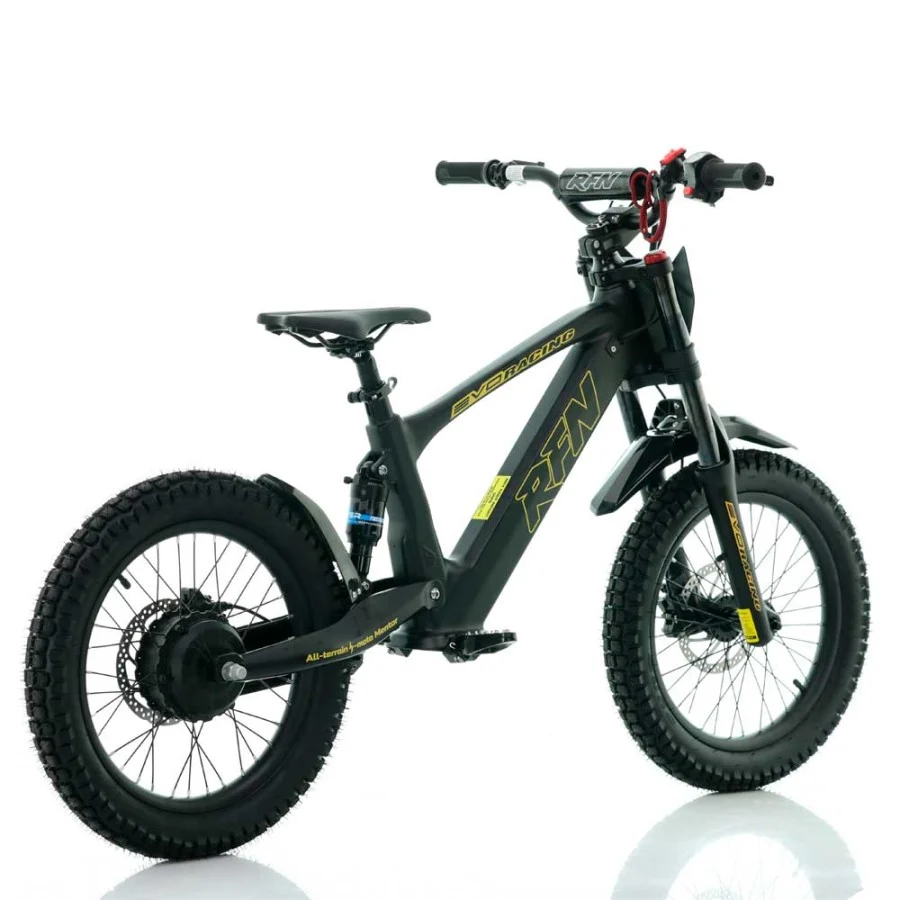 BICICLETA ELÉCTRICA SIN PEDALES 500W ROAN RFN EVO RACING 18" - Imagen 8