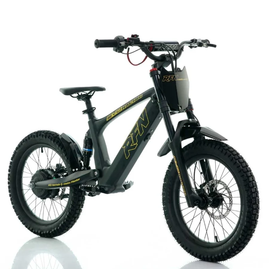 BICICLETA ELÉCTRICA SIN PEDALES 500W ROAN RFN EVO RACING 18" - Imagen 7