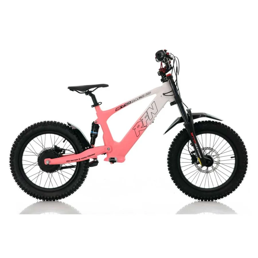 BICICLETA ELÉCTRICA SIN PEDALES 500W ROAN RFN EVO RACING 18" - Imagen 11
