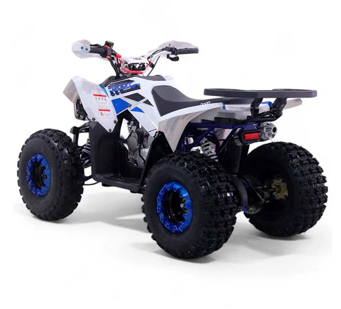 QUAD ROAN 125CC COYOTE AUTOMATICO R8 - Imagen 2