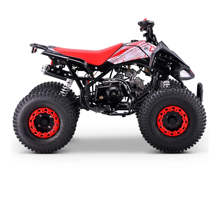 QUAD 110cc AUTOMATICO ROAN PANTERA R8 - Imagen 3