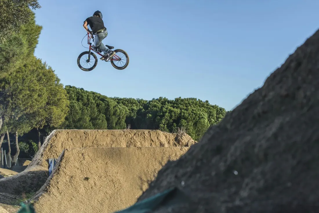 Chacon Bunnyshop BMX
