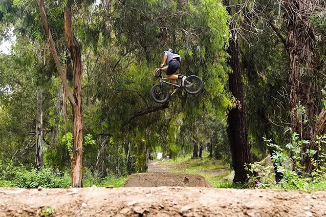 Kevin Bunnyshop BMX