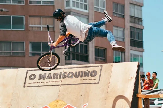 Tortu Bunnyshop BMX