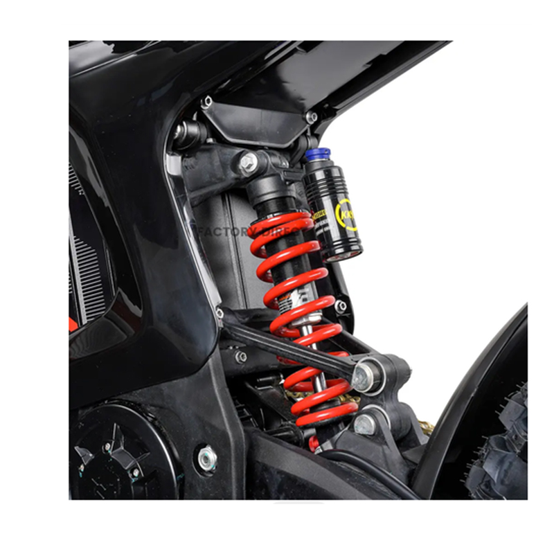 MOTO ARTIC LEOPARD XE PRO R 26.5 kW - Imagen 3