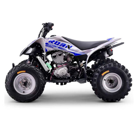 QUAD ROAN DAKAR 300CC R10 - Miniatura 2