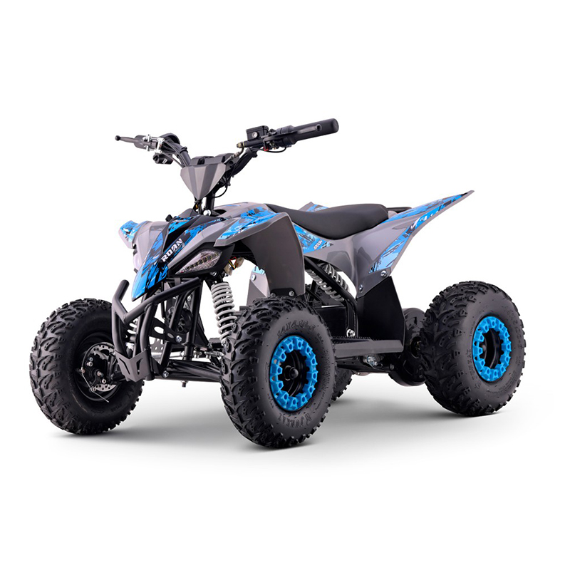 MINI QUAD ROAN RATTE 1000W - Imagen 3
